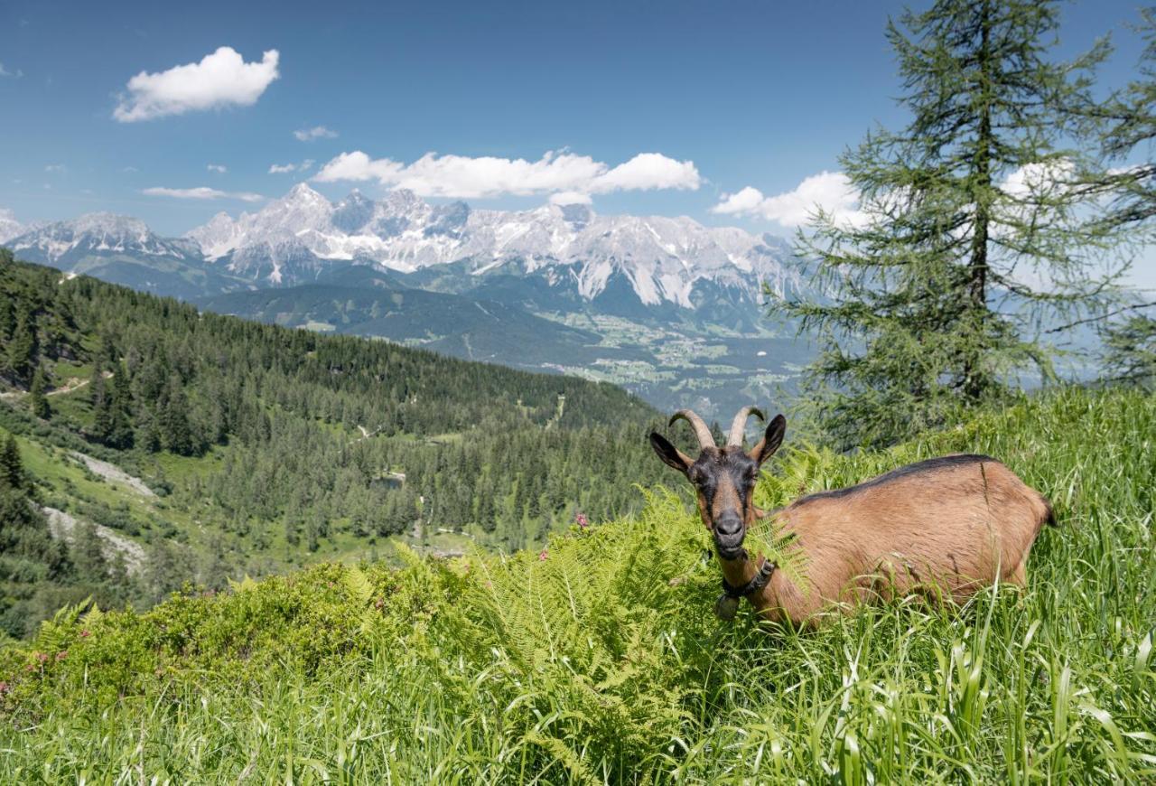 Posthotel 4* Schladming
